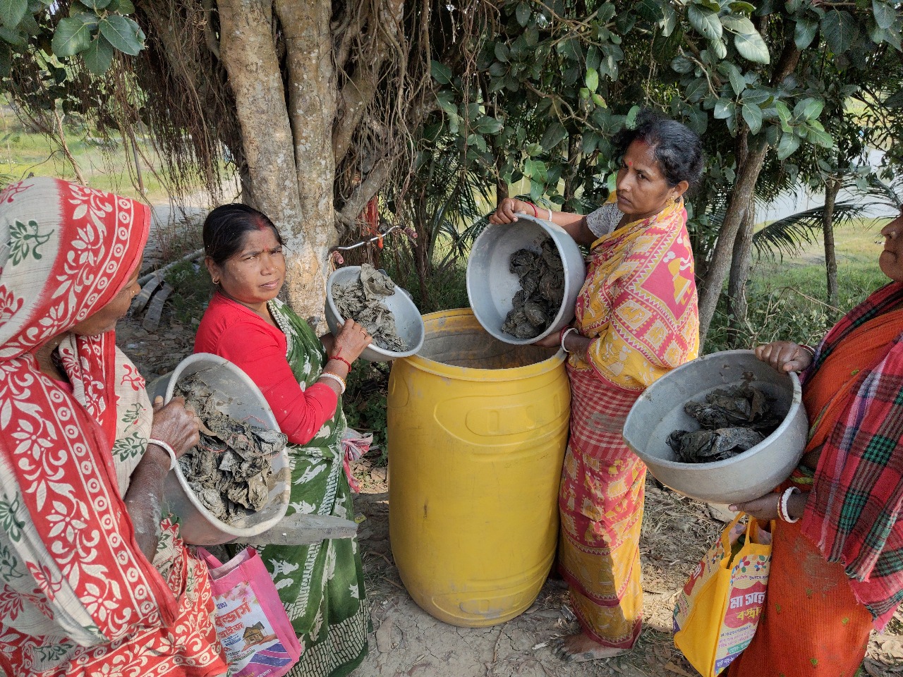 Drip irrigation system watering crops, showing efficient water management.